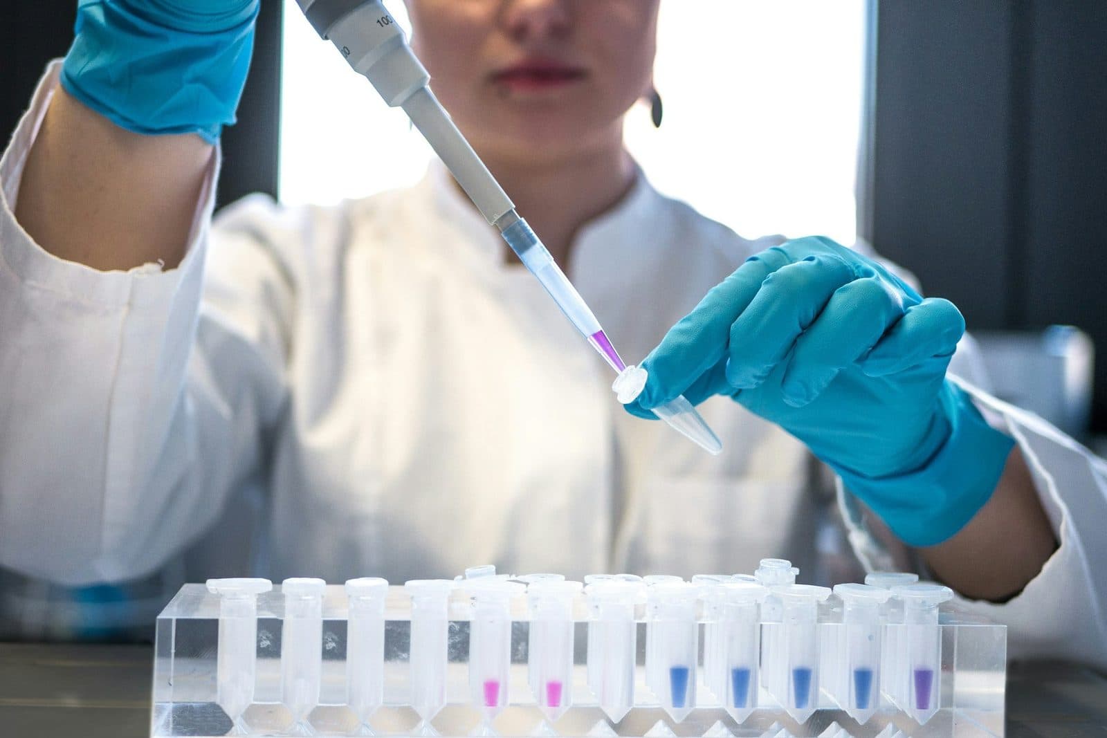 A laboratory scientist pipetting samples into a row of test tubes